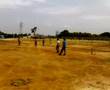 Spartan playing cricket