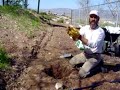 Digging holes...Caliche Rocks!!! ...Maki...