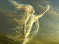 chopin fantaisie impromptu