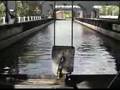 ANDERTON BOAT LIFT #3