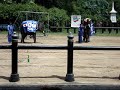 elephant tricks 2