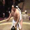 Sumo Wrestling Sumo Wrestling