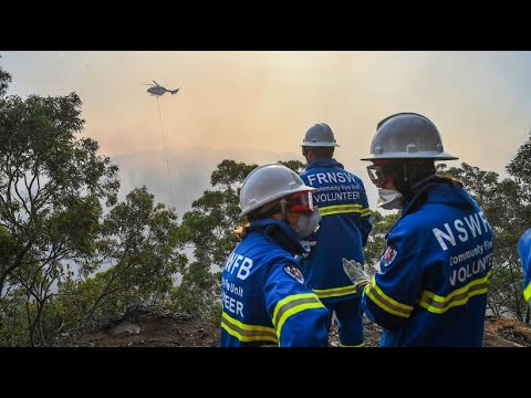 Rund 500 Feuerwehrleute bei Waldbrnden im Einsatz