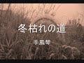手風琴