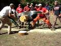 videos de NCSU crosscut 2
