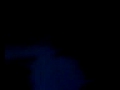 MOV00318.MP4