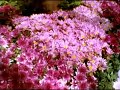 Super-8 Pro8-01 50D Fuji 4th try