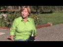 Growing Herbs : How to Grow Mint