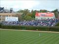 Cub Fan Blues