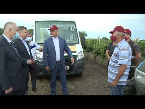 Şeful statului a vizitat podgoriile vinăriei Cricova