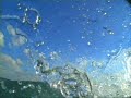 peter roberts - live if you try