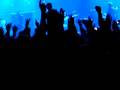 videos de OASIS Falconer Salen 081108 - 1