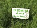 Groovy V: GreenSprings Eco-Cemetery