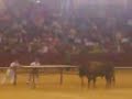 Toro destroza plataforma  en Laguna de Duero