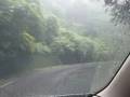久しぶりの雨