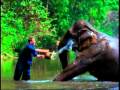 Healthy living in Chiang Mai, Thailand & quality lifestyle at an affordable price !