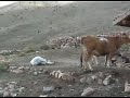 Erzurum ?spir Yeleser tan?t?m? Hükmü Sayar Erzurum ?spir Yeleser tan?t?m? Hükmü Sayar