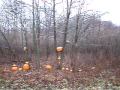 Carving Pumpkins with 12 Gauge