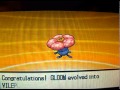 pokemon black and white odish evolves (full)