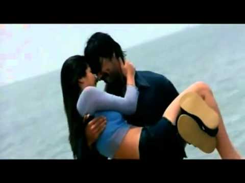 tara sharma