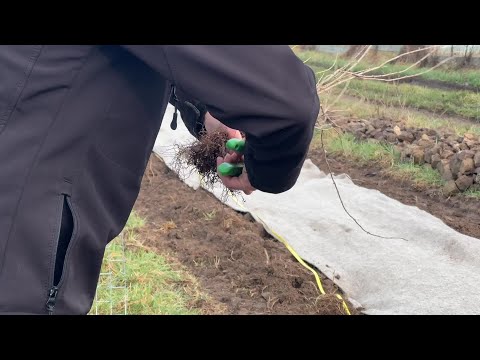 Image de prévisualisation YouTube