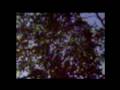videos de Bit