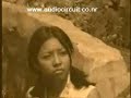 SEPASANG MATA BOLA