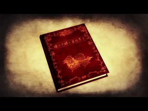 Vidéo 1