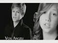 vox angeli
