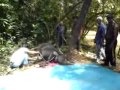 XPDC KORBAN KERBAU 6