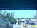 videos de pistolero santo tomas 1
