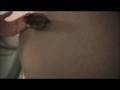 Kytlz #3 Part 4
