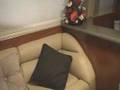 48' Sea Ray Motor Yacht 2002 Castaway Yacht Sales