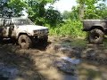 jeep in shedden