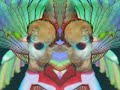 teledysk, klip, Beth Orton,- Daybreaker