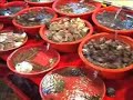 Korea:  Jagalchi - Korean Fish Market