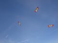 Sedgewick Revolution Kite Flying @ Ainsdale Beach Southport
