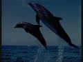 Lunatica - EmOcean