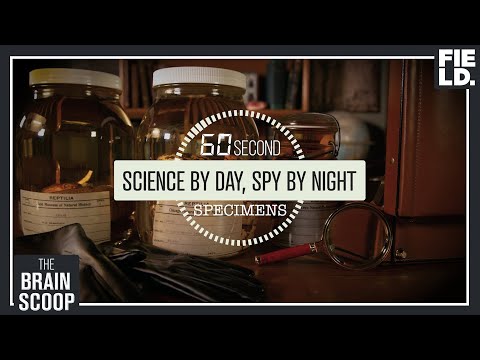 Science by Day - Spy by Night [60 Second Specimens]