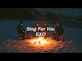 Sing For You By EXO If You're At A Campfire.