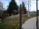 flocker112208_0001.wmv