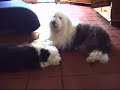 Racy Rascals - Emely and Arwen
