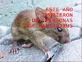 LA BASURA MATA !! LA BASURA MATA !!
