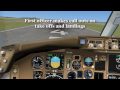 Flight1 / Level-D 767