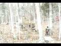 videos de Paintball Central: November 15th 2008