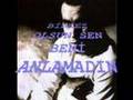 HALUK LEVENT   ANLAMADIN