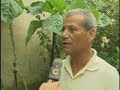 bichinhos-episdio-1-de-3.html