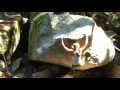 Squamish Bouldering