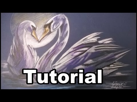 how to draw swan