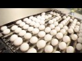 JS West Processing Plant - Good Egg Project - Webisode 3